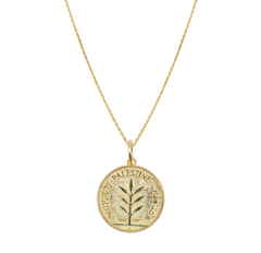 Palestine Lira Necklace - Fabula Jewels Store