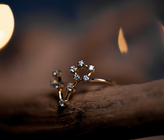 Pisces Constellations Ring from Fabula Jewels