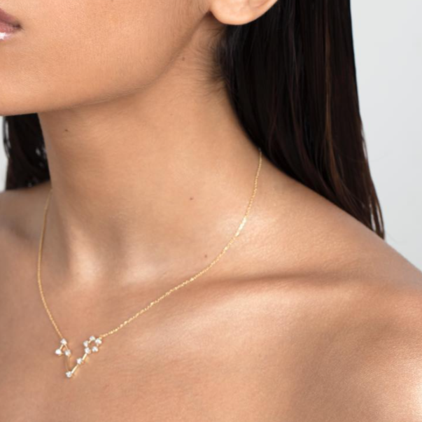 Pisces Constellation Necklace